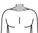 首前