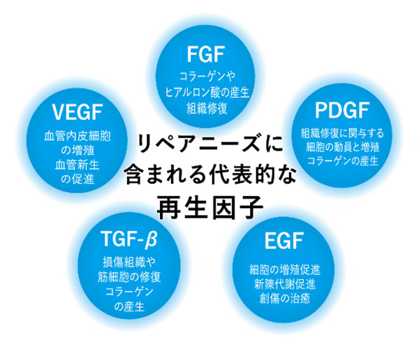 再生因子注入療法リペアニーズ