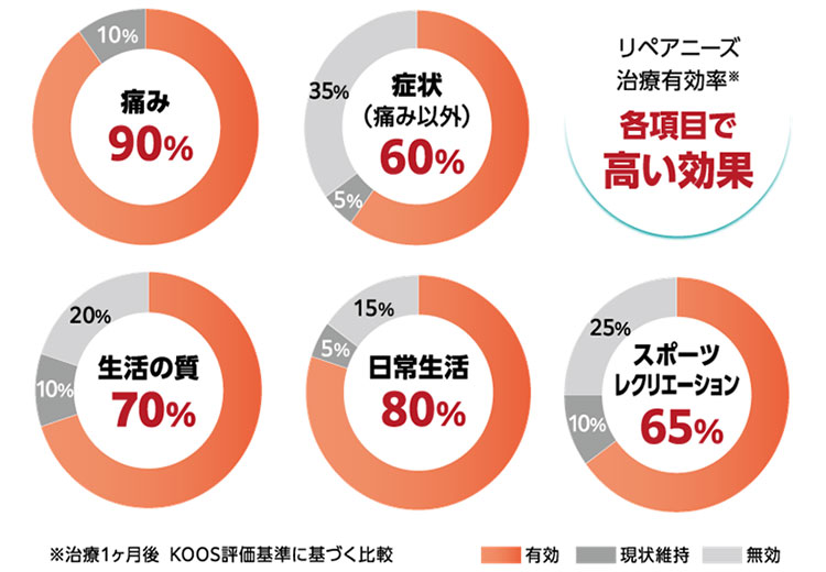 リペアニーズの治療効果について