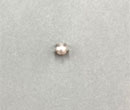 チタン製　標準　6mm パール